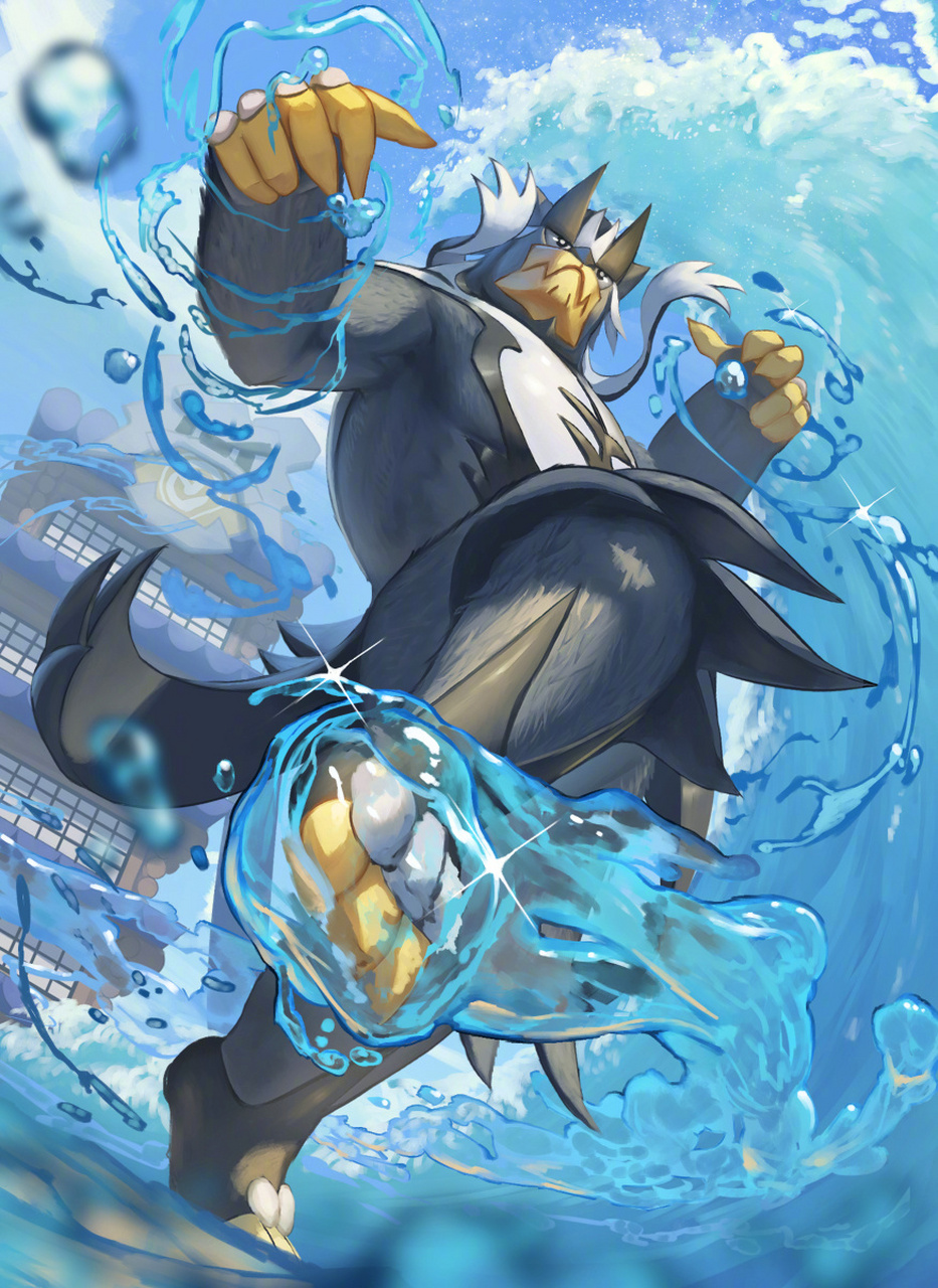 武道熊师 #精灵宝可梦