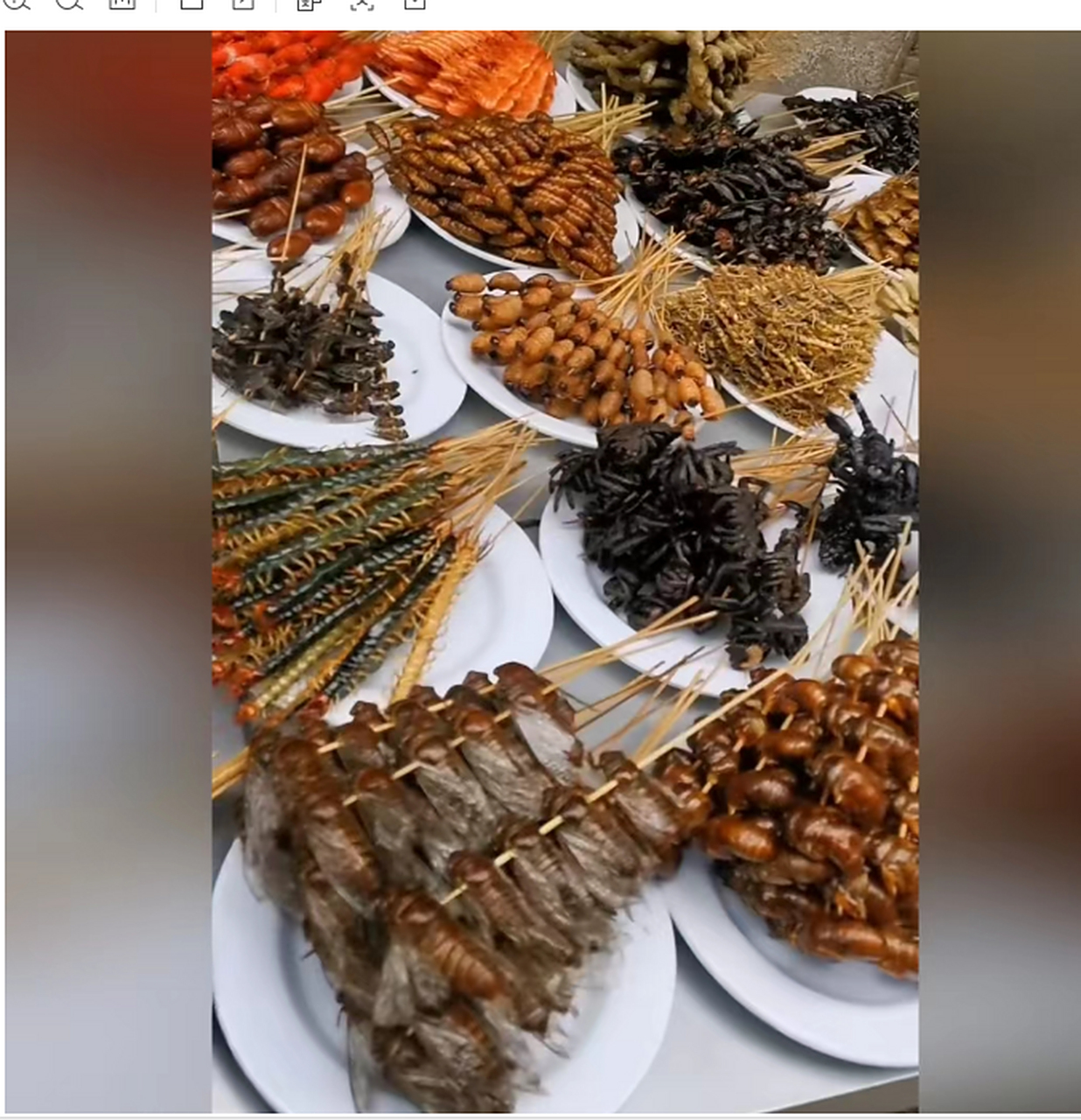 云南的虫子宴,有你爱吃的吗.