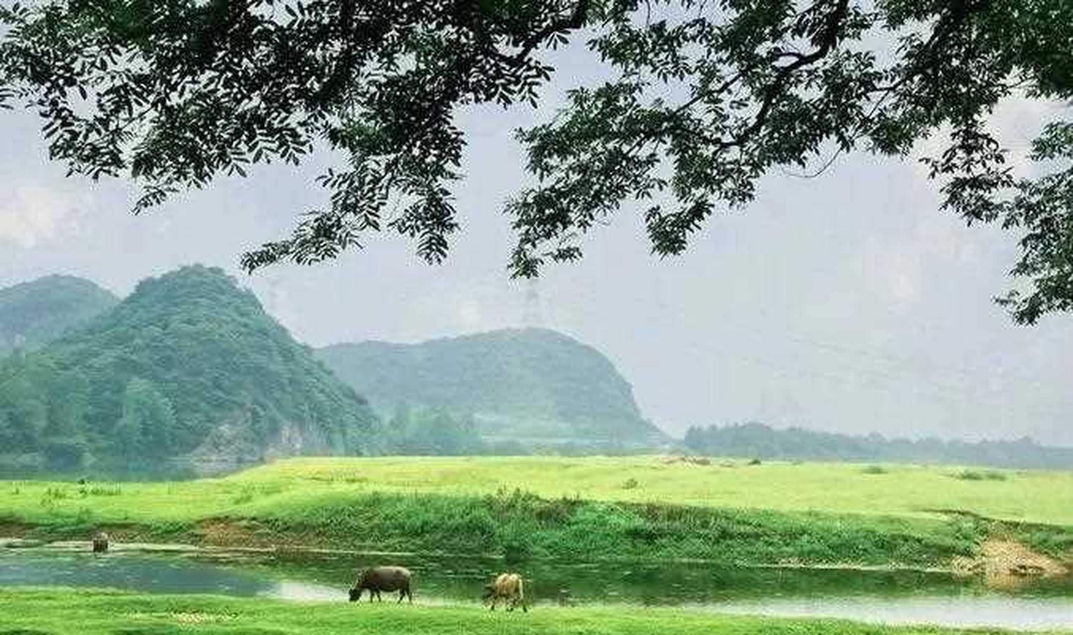 安徽南陵桃园滩风景区图片