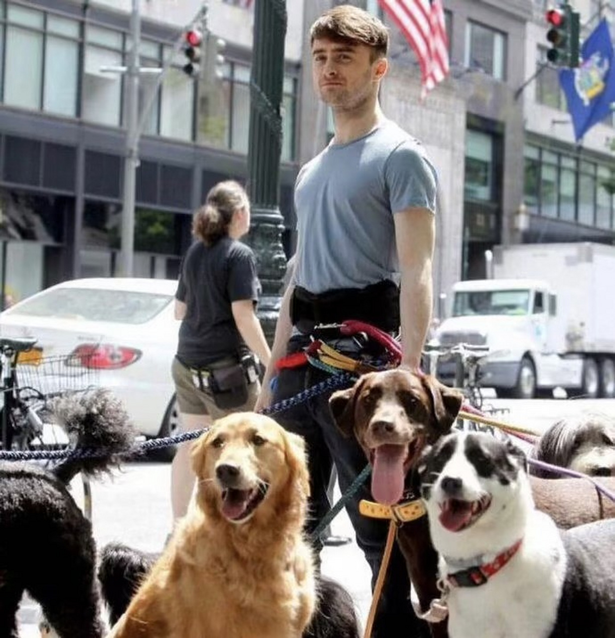 哈利波特遛狗……