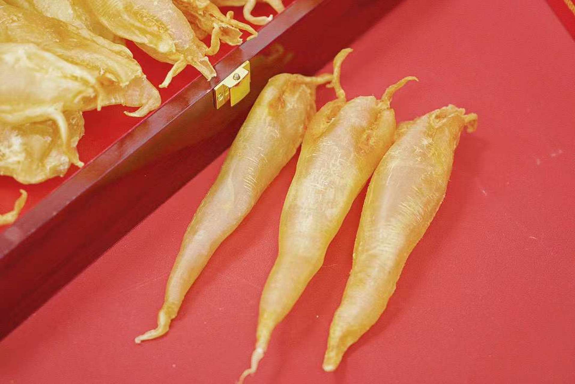 这不仅是因为人们对于赤嘴鳘鱼胶的偏爱,还因其优越的质量和产量.