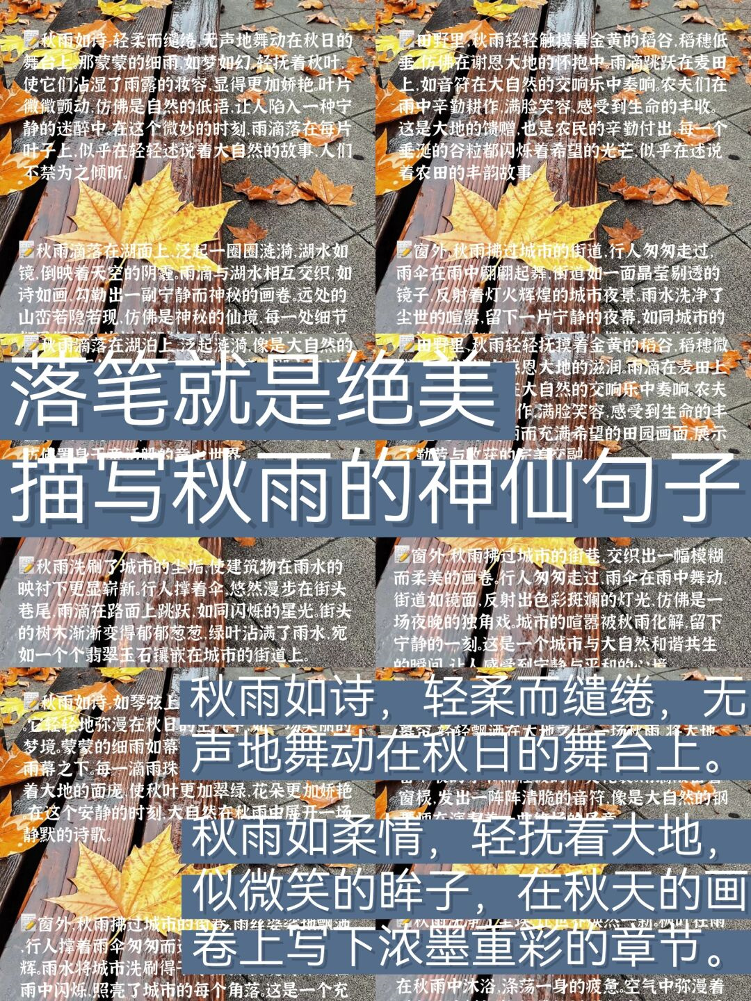 落笔就是绝美描写秋雨的神仙句子