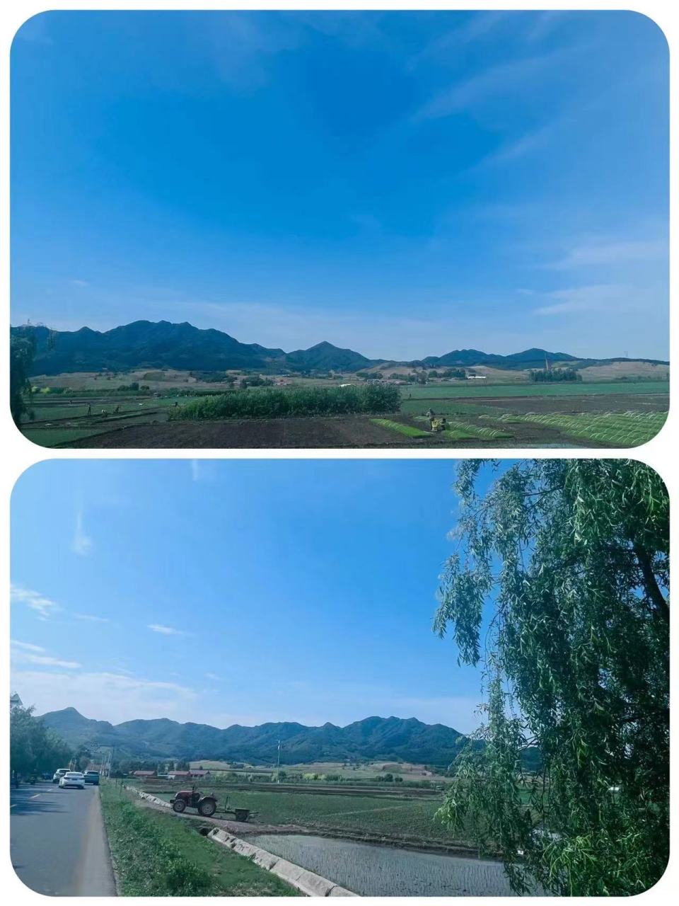 美好辽宁欢迎您# 开原大美松山欢迎您#网红打卡地辽宁杠杠滴