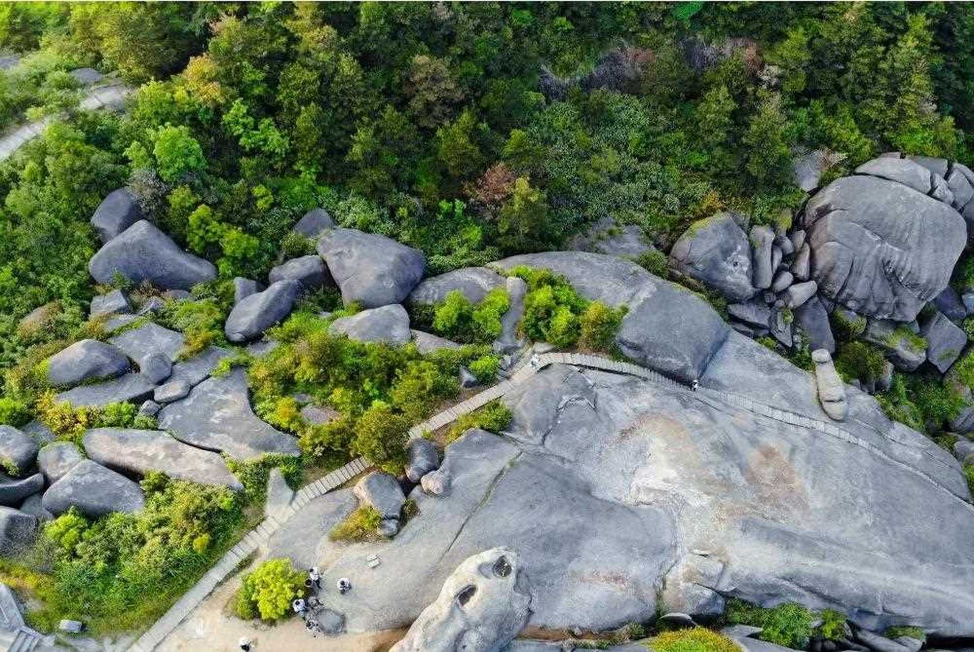 苍南玉苍山图片