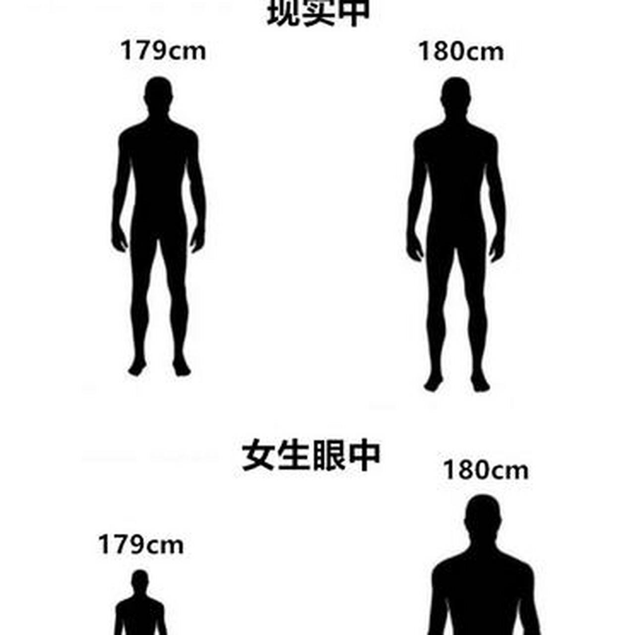 180和175身高差距图图片