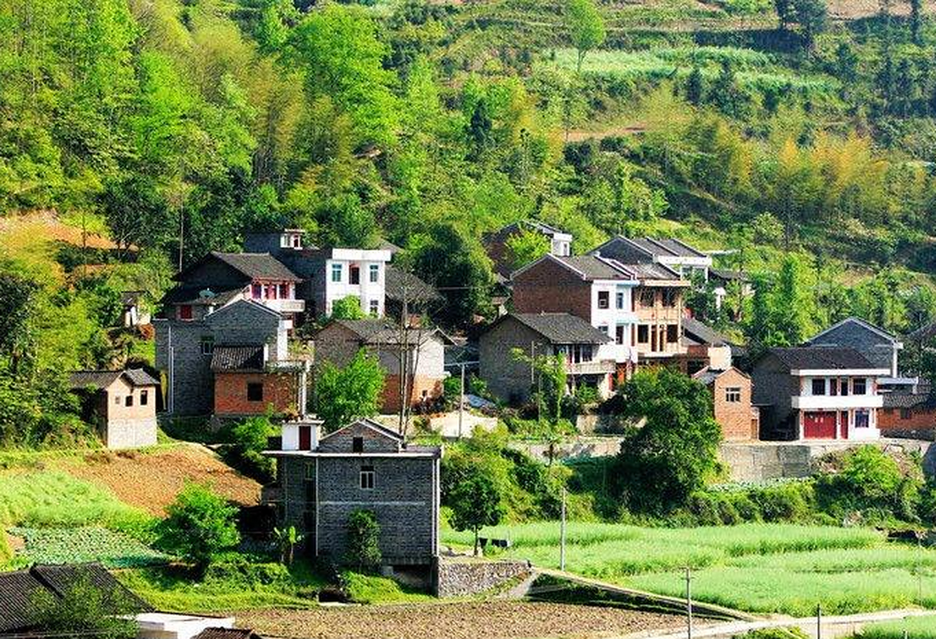 【记录我们村风光】 小村庄没有大城市的高楼大厦,灯红酒绿以及熙熙