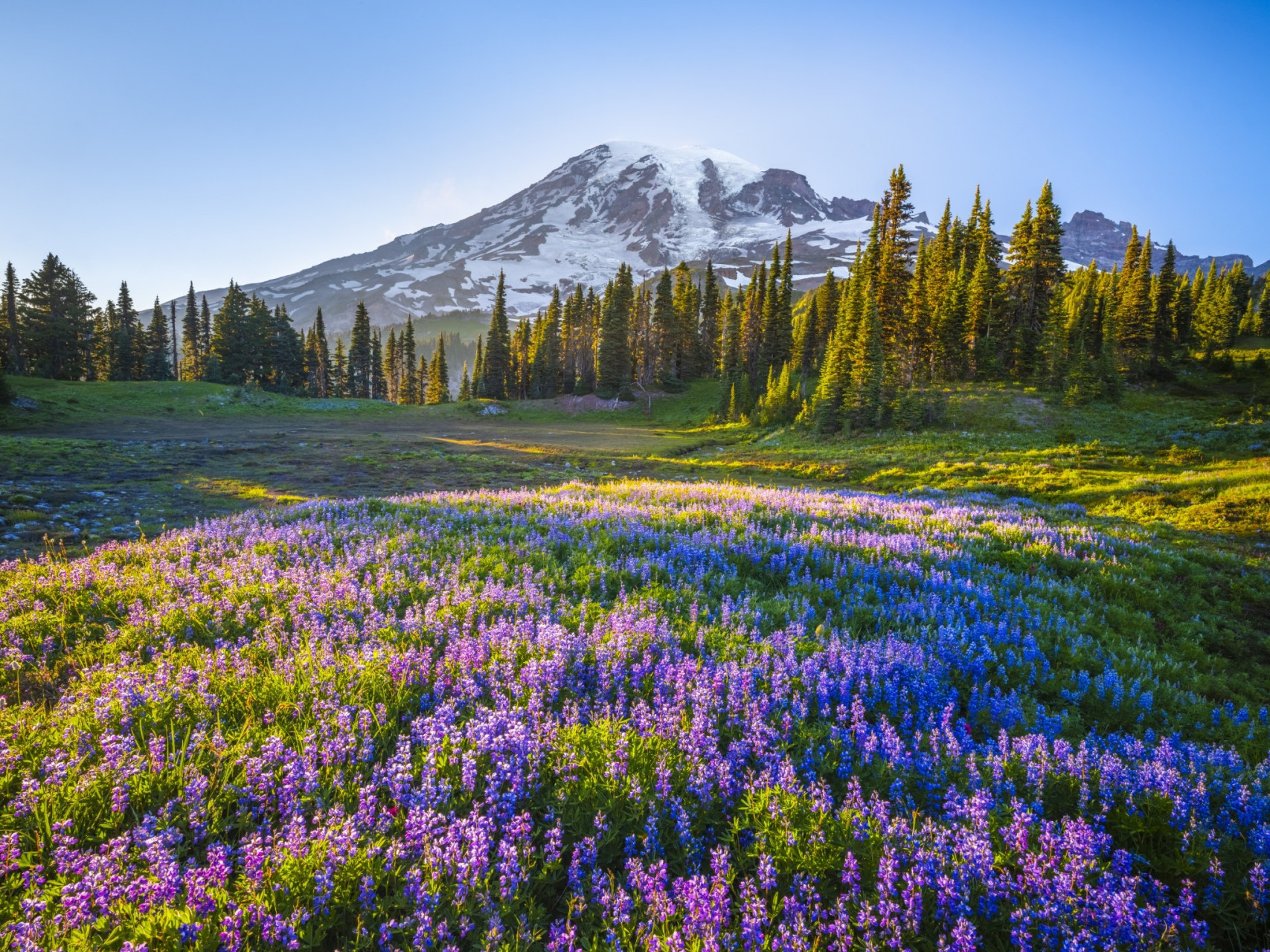 位于美国华盛顿州的雷尼尔山国家公园是一个被山脉和森林环绕的宝石.