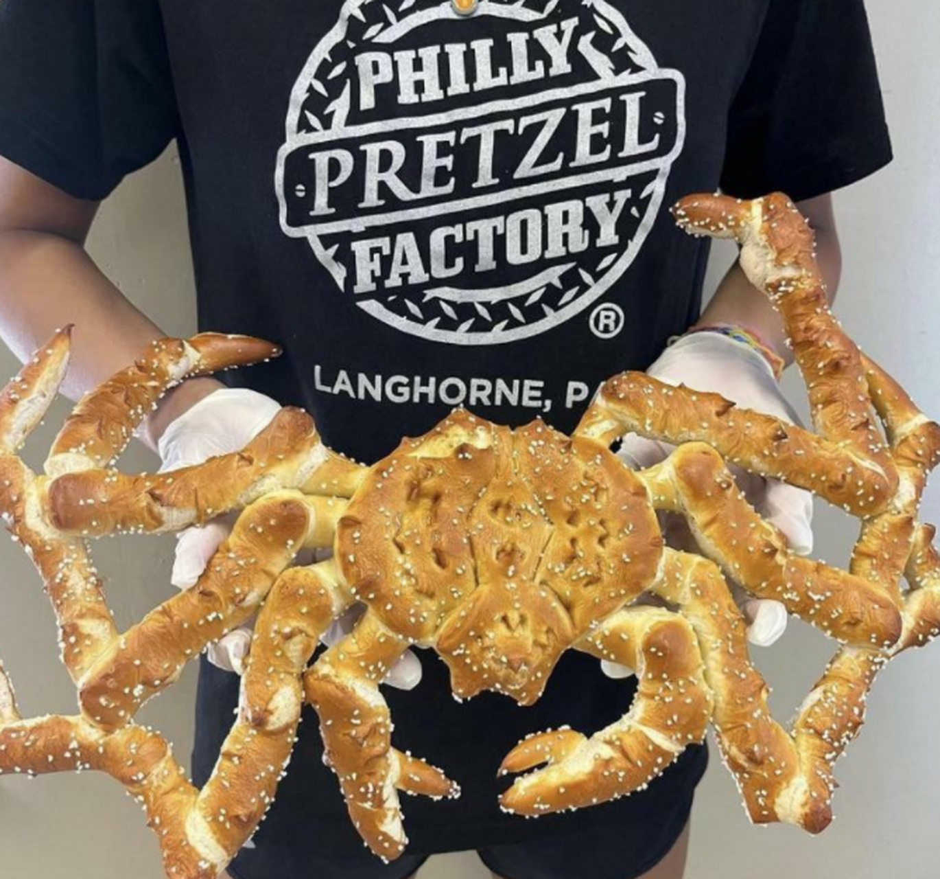 国外网友烤了一个帝王蟹面包,看上去不错呀!#百家号星火计划