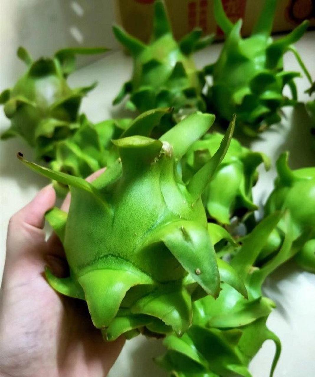 绿色的火龙果,味道还不错