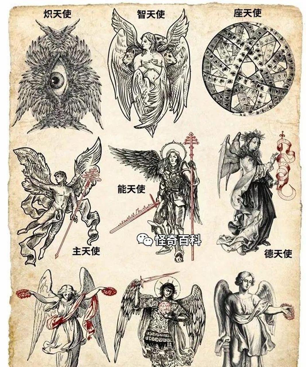各种「天使」长什么样?