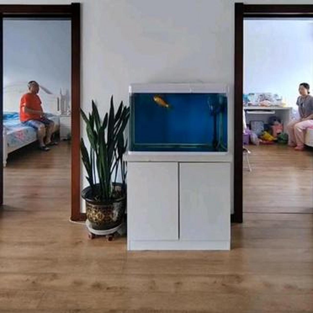 各自抱着自己的手机睡觉,挺好的!