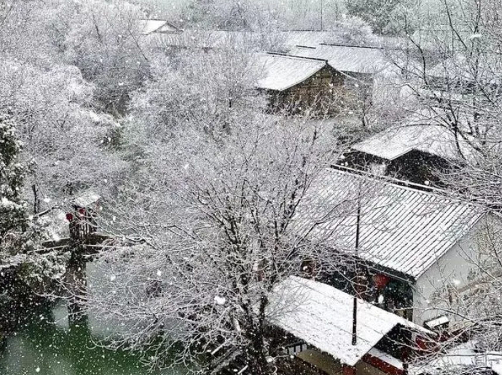 西溪國家溼地公園與西湖,西泠並稱杭州