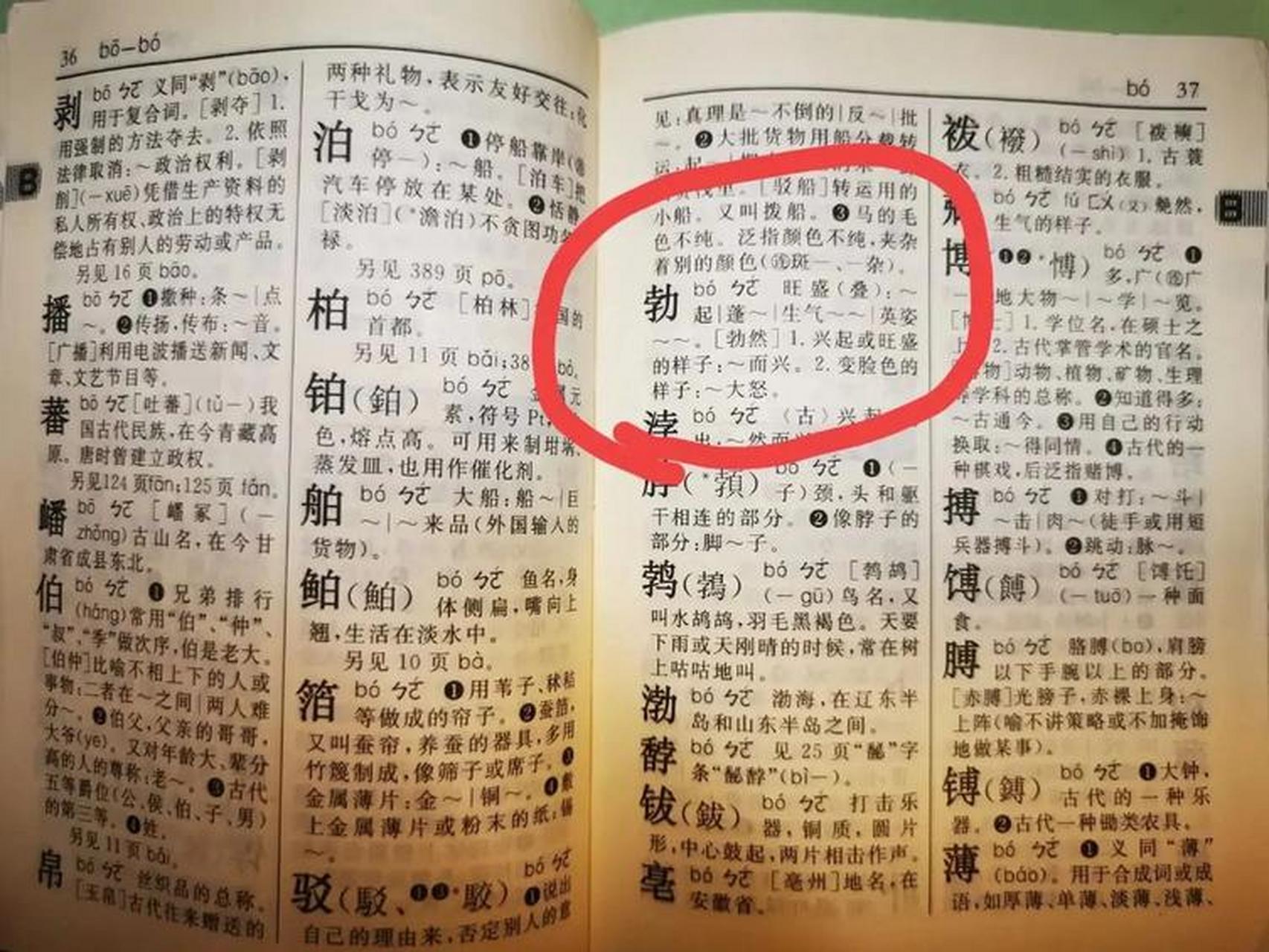 今天孩子用"勃"组几个词,不太会,我让她自己查字典,然后她问我" bo 起