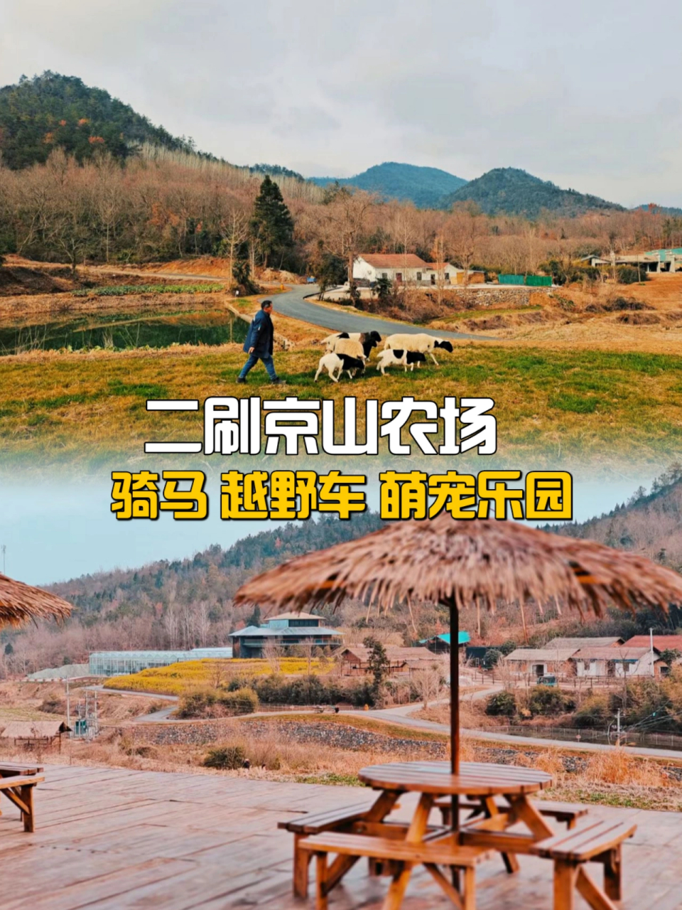 二刷京山农场‖这次我住的是森林树屋哦 这次来把所有的娱乐设施都玩