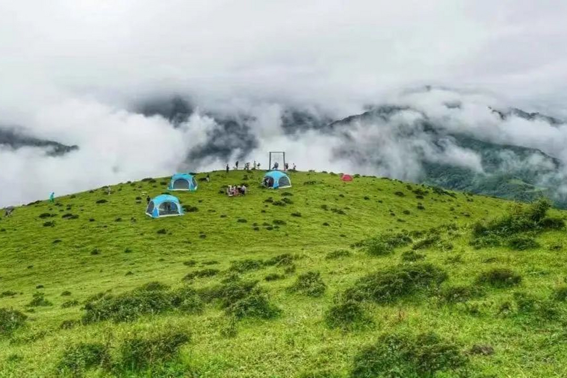 云中牧场,位于四川省汶川卧龙保护区,海拔两千到三千米,是一片超级