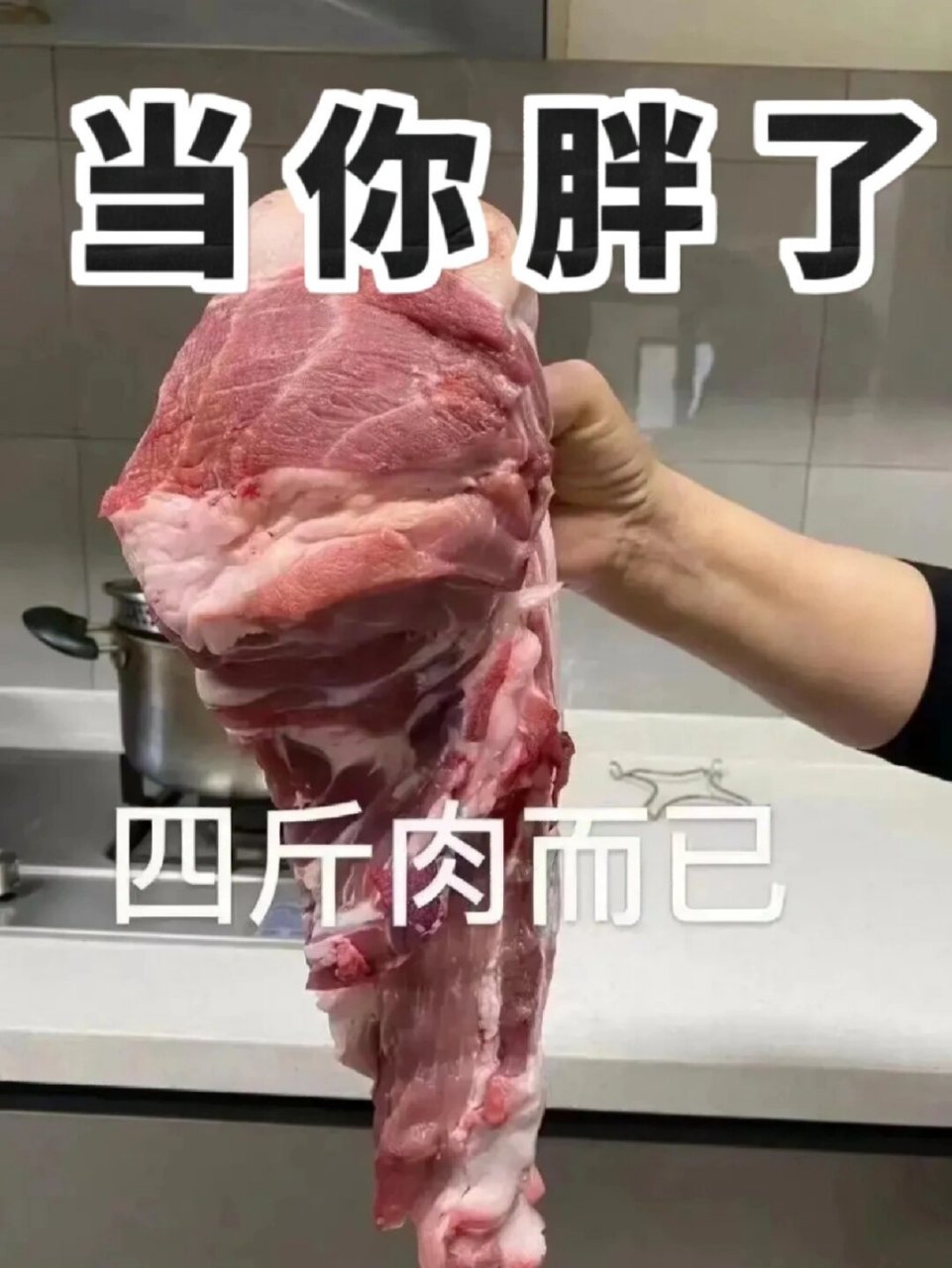 长肉肉的朋友圈配图图片