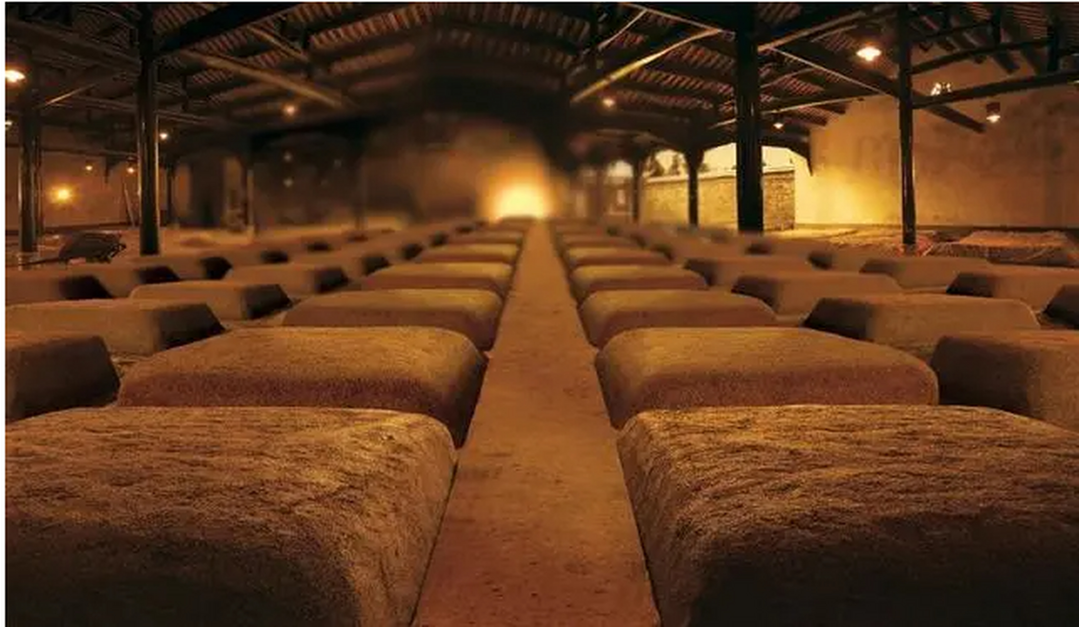 醉窖知识贴|酱酒酿造工艺中"两长"指什么?