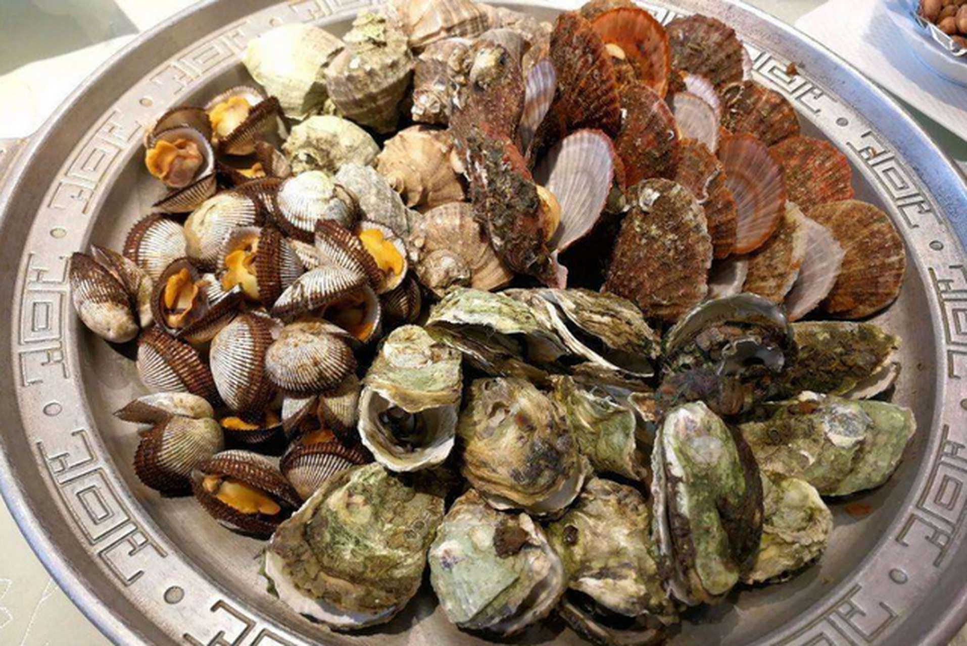 北戴河扇贝:扇贝,因其壳形似扇现时得名,是名贵的海产双壳贝类.