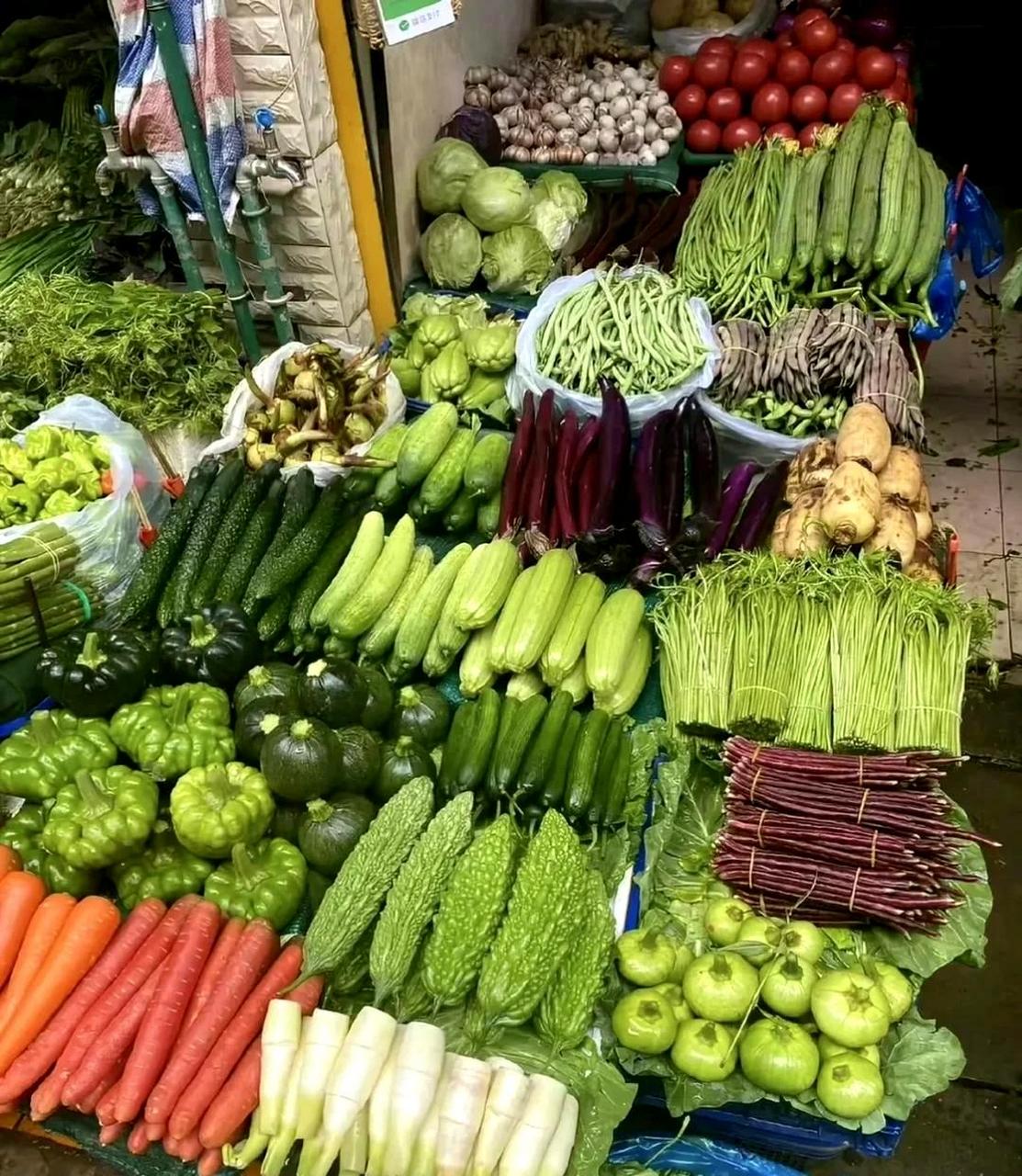 这位卖菜的老板一定有强迫症,他把蔬菜摆放得整整齐齐,生意一定很好!