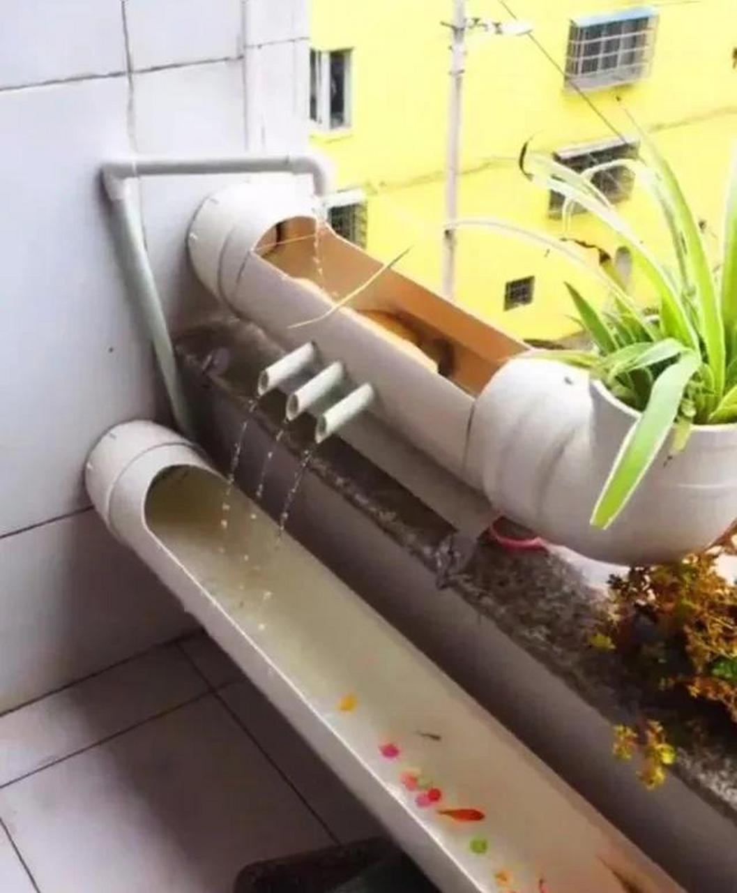 装修用剩的水管,在阳台上造6米长"人工河"养鱼