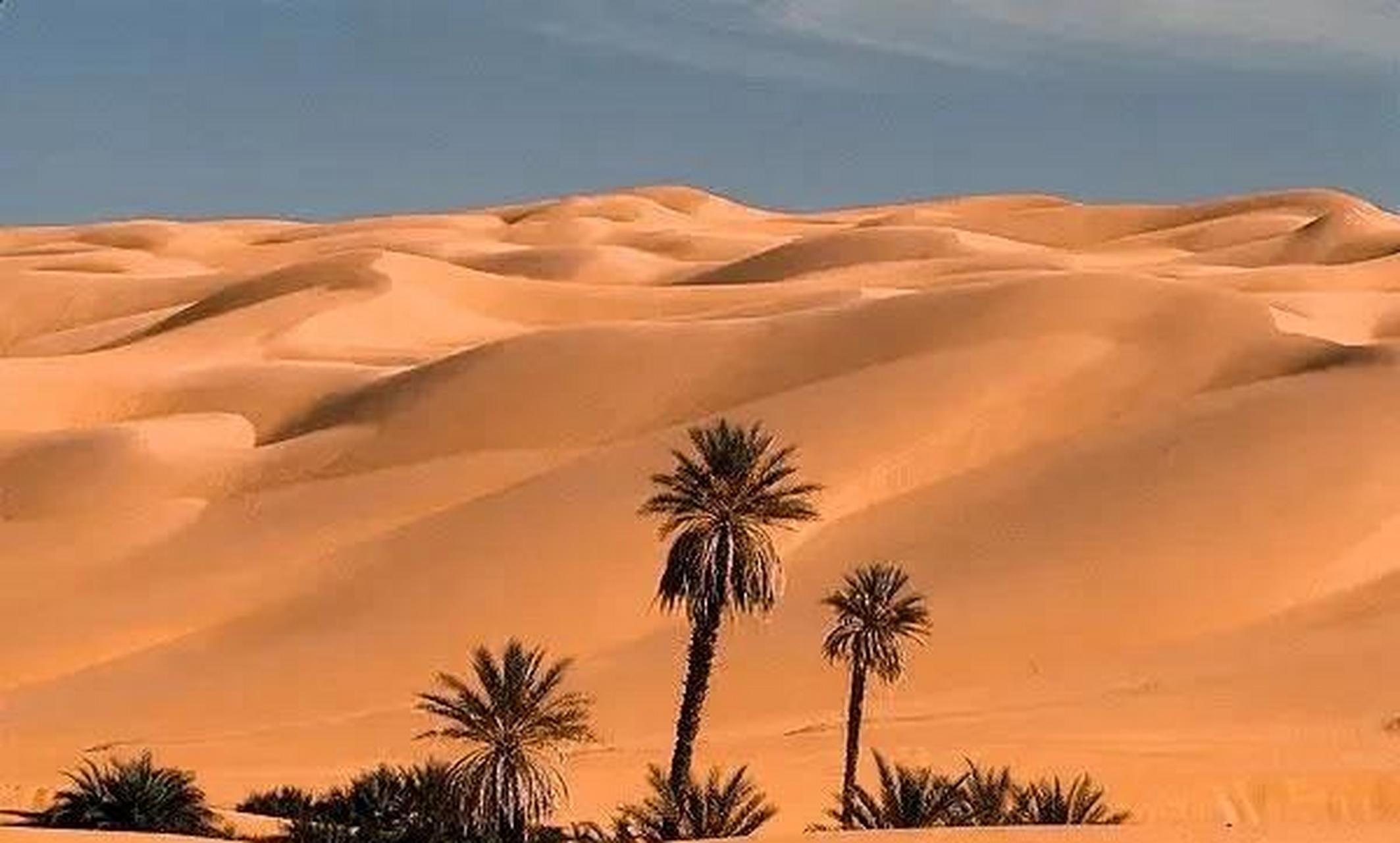 二,利比亚沙漠的地貌和景观 沙丘:沙丘是沙漠中最为典型的地貌之一