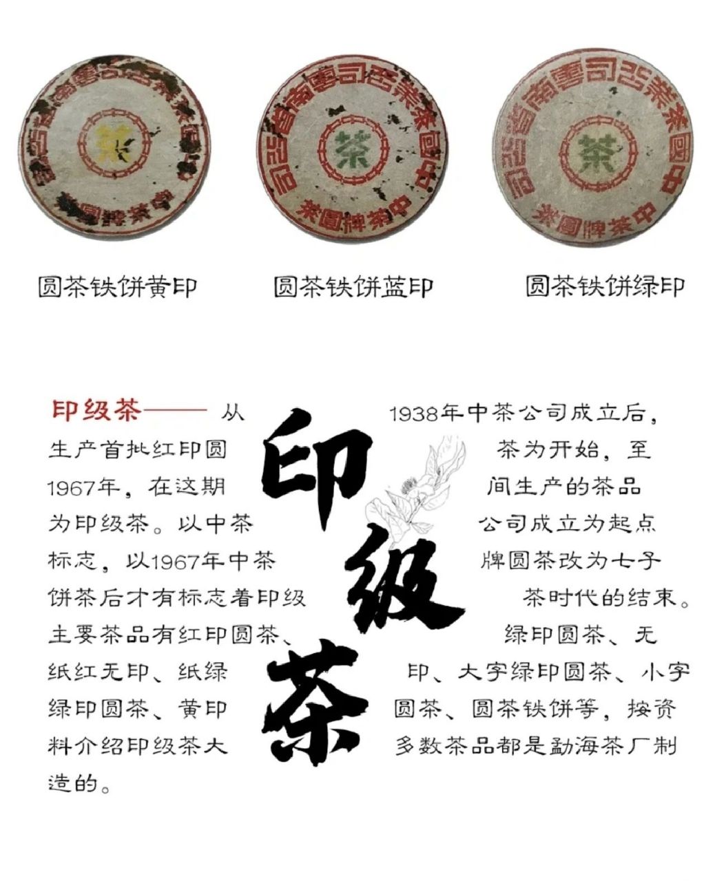 普洱茶百年历史:号级,印级,七子饼