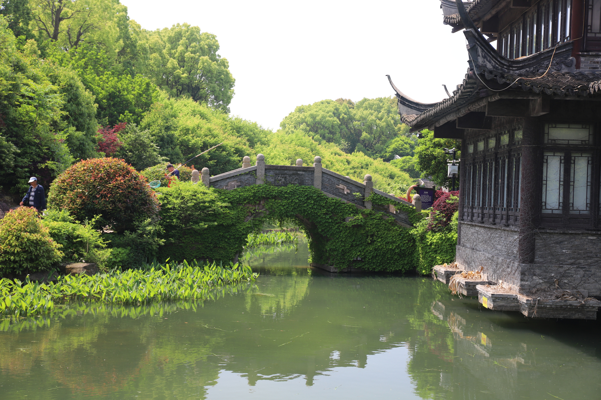 上海的韩湘水博园,一个水生态式的古典园林.桥多,景美,风景这边独好.