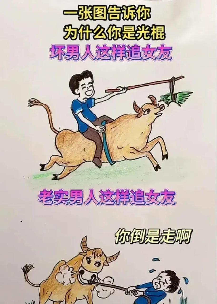 网友:一张图告诉你,男孩子追女朋友怎么追?