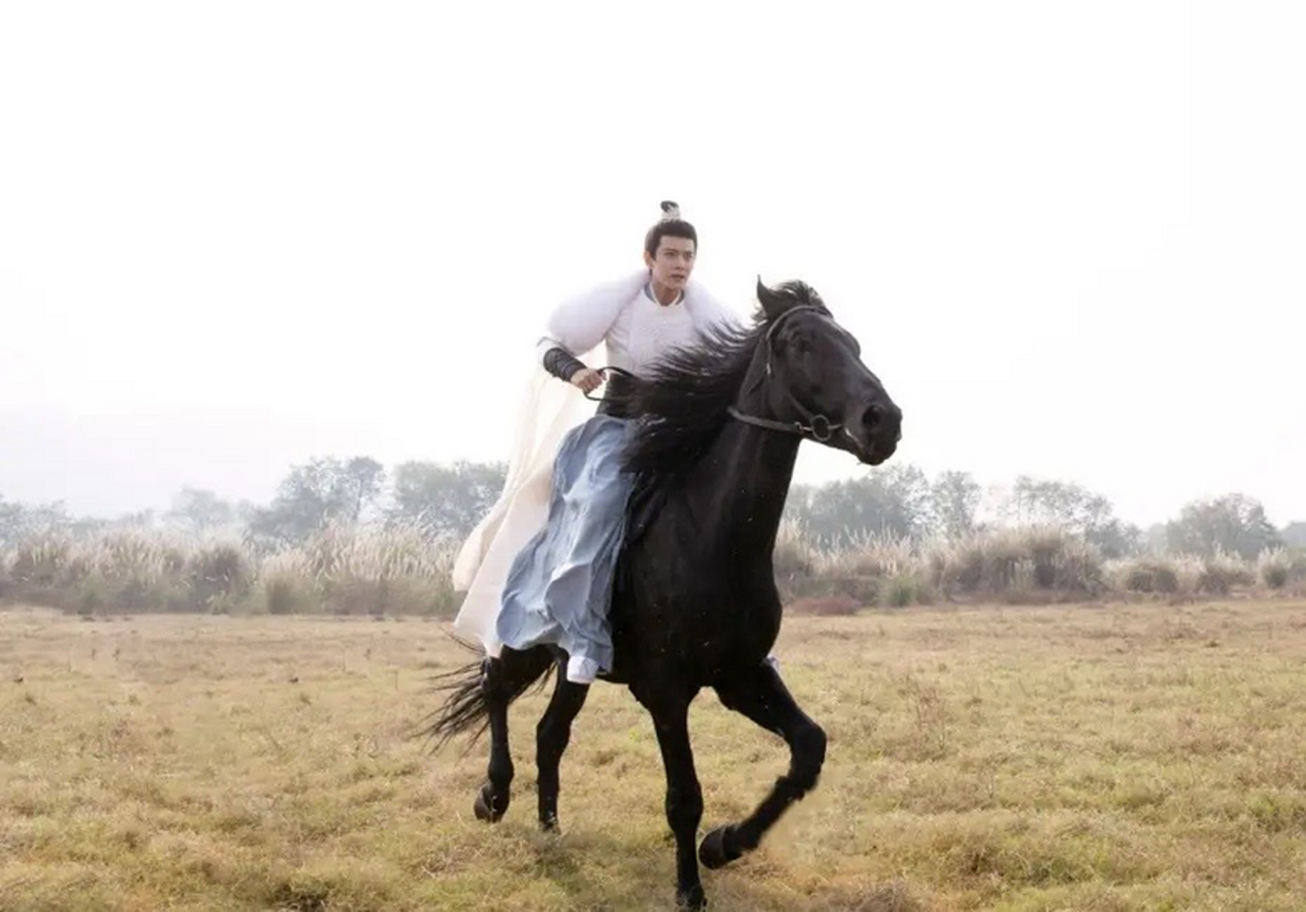 乾隆年间,乾清宫侍卫福林休假外出,途中遇见有人牵着一匹母马.