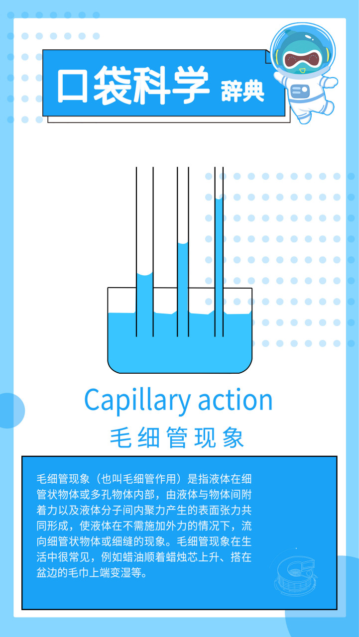 毛细管现象(毛细现象我的发现)