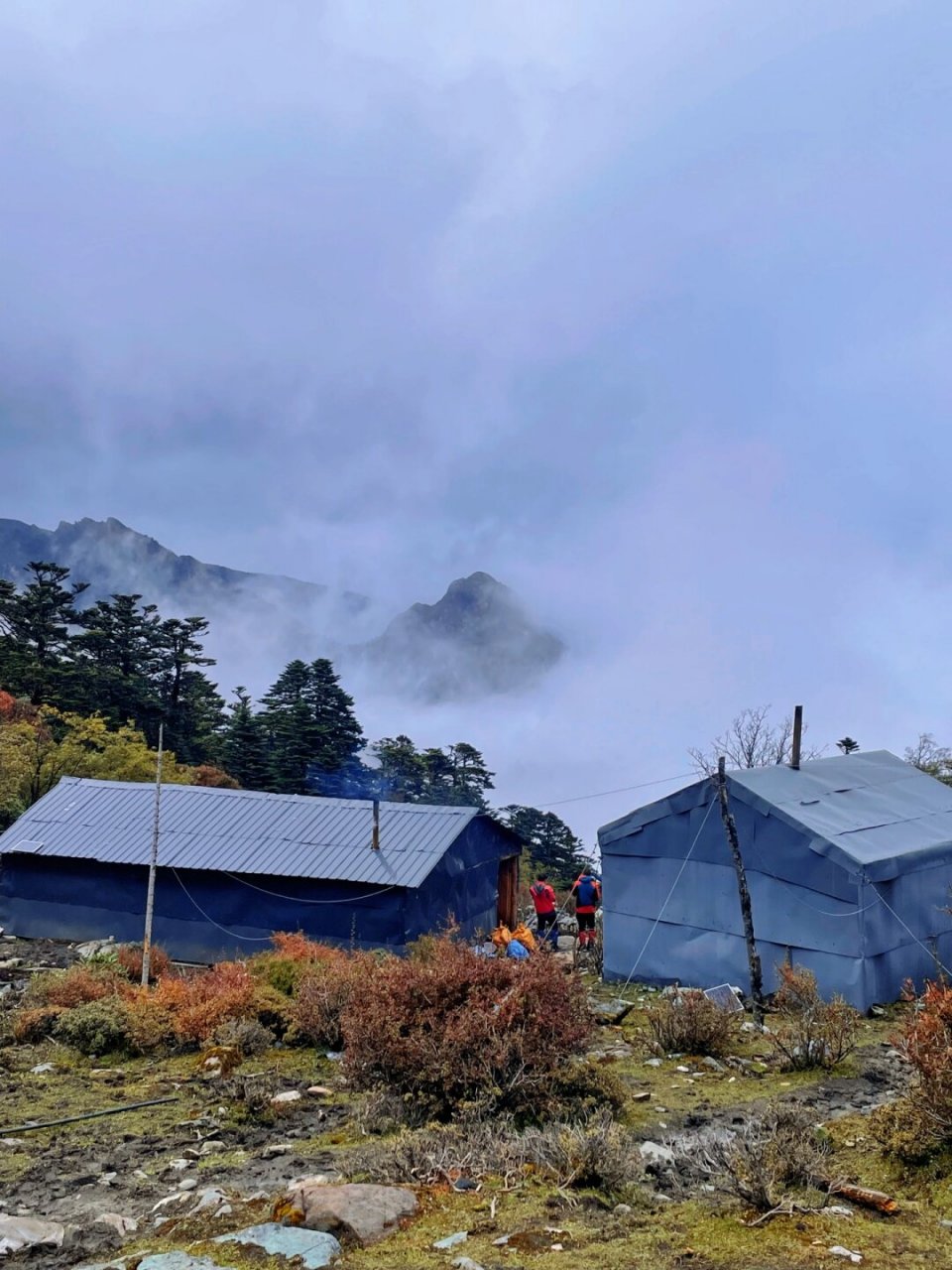 哈巴徒步除了雪山和黑海这里还有什么  9999哈巴村位于云南省迪庆