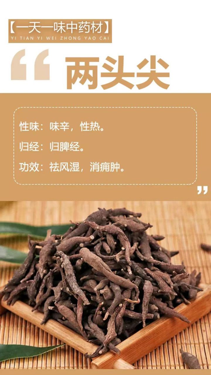 两头尖 性味:味辛,性热. 归经:归脾经. 功效:祛风湿,消痈肿.#青青乐