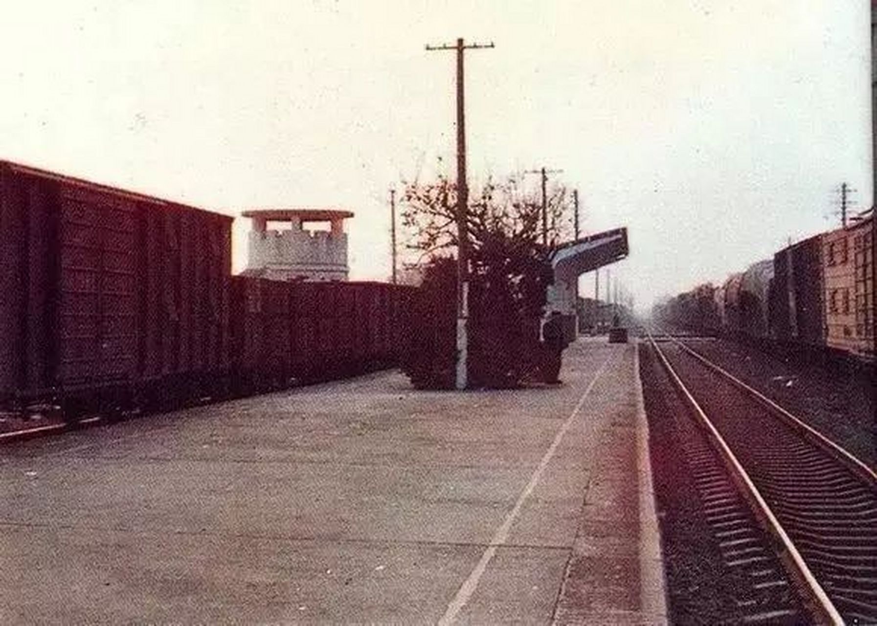 30年前的枫泾火车站,你还认得出来吗?