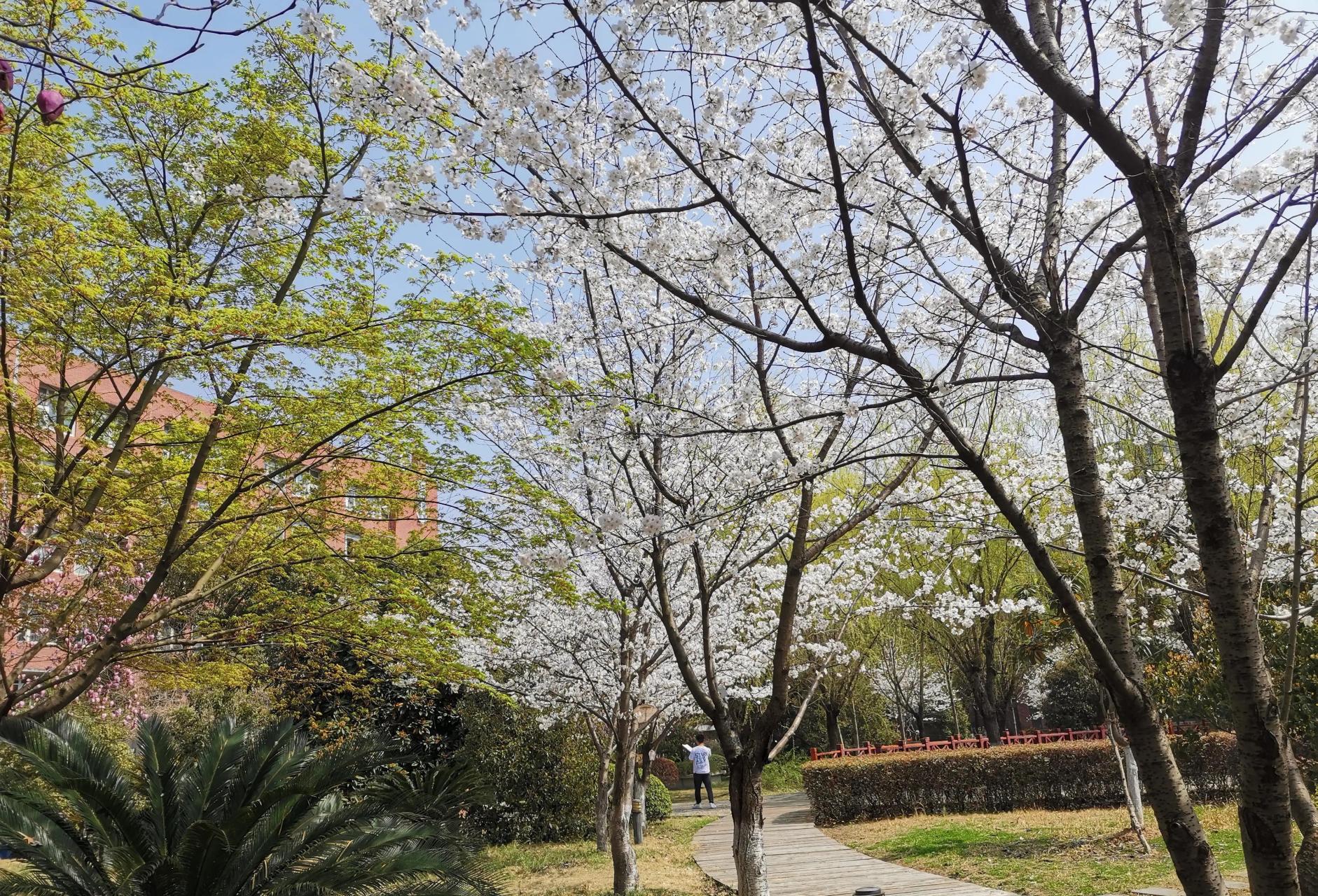 55岁退休金高还是60岁退休金高?