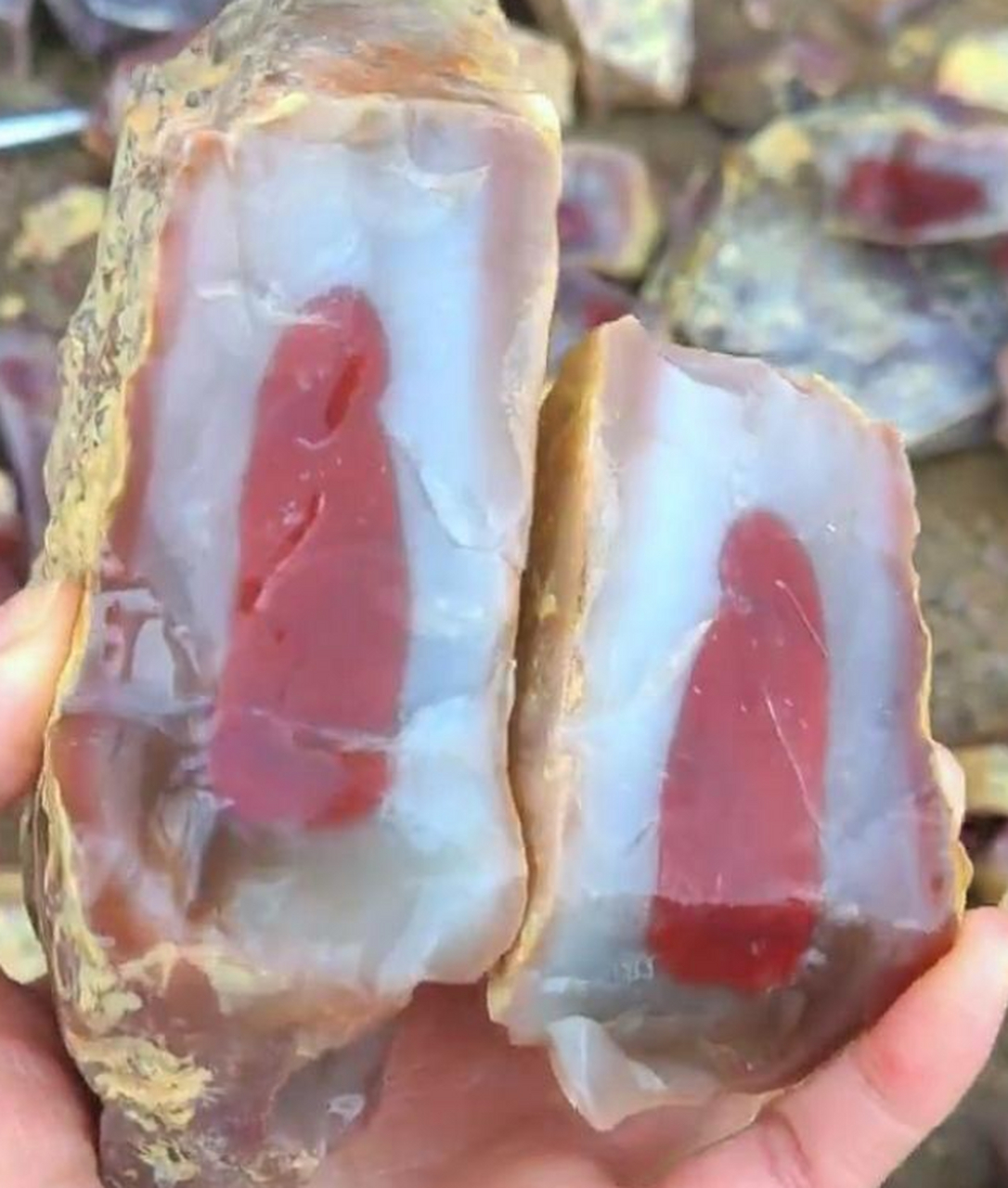 在山上捡到两块石头,看上去很值钱的样子