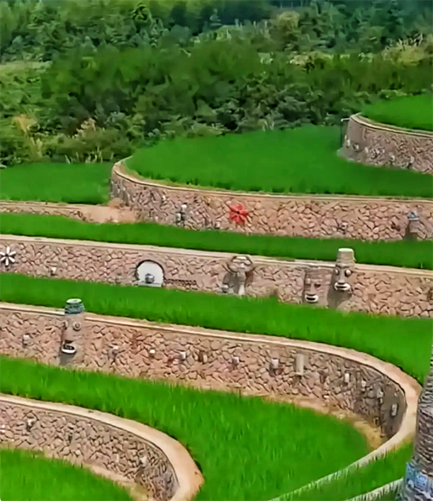 没有节耳根的田坎,是没有灵魂的稻田