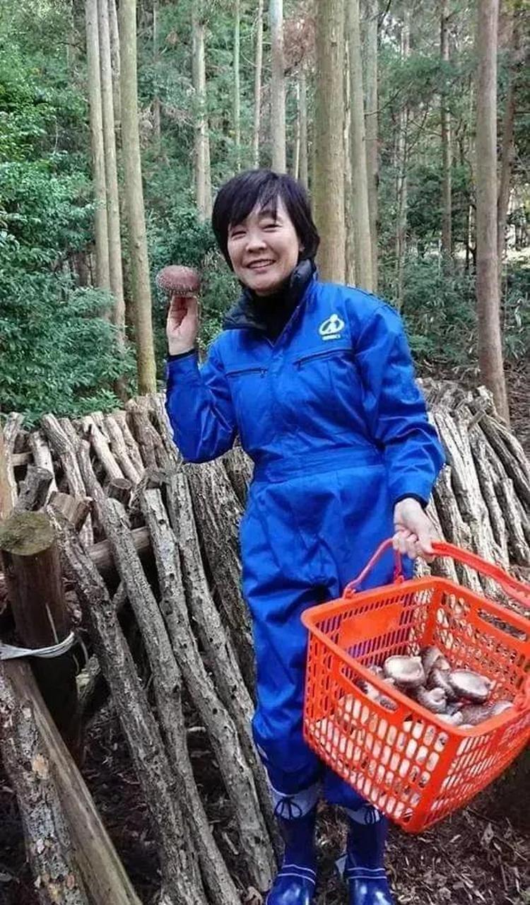安倍昭惠一身农民装扮,摘果子,摘蘑菇,开拖拉机收麦子,收青菜,什么