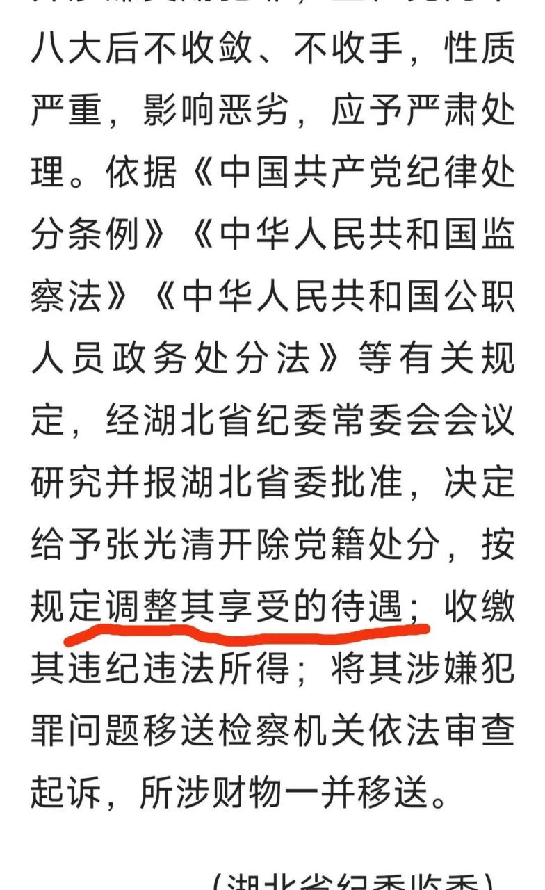 武汉市原副市长张光清的处分不同寻常  湖北省纪委监委发布消息,经