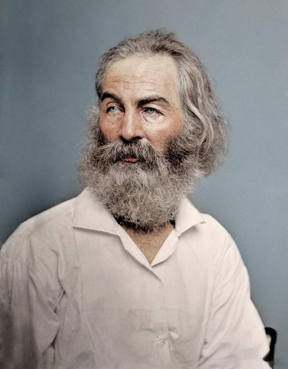 沃尔特·惠特曼(walt whitman,1819-1892年)【美国诗人,1868年】