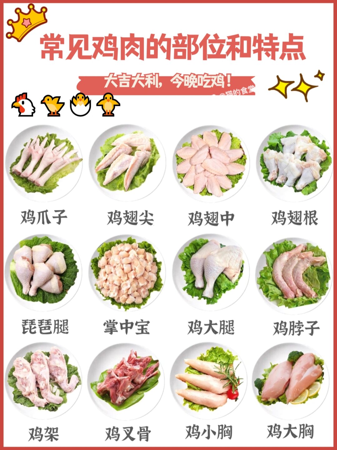 【大全】鸡肉的部位和特点|不怕买错 鸡肉富含大量的蛋白质,除鸡皮外
