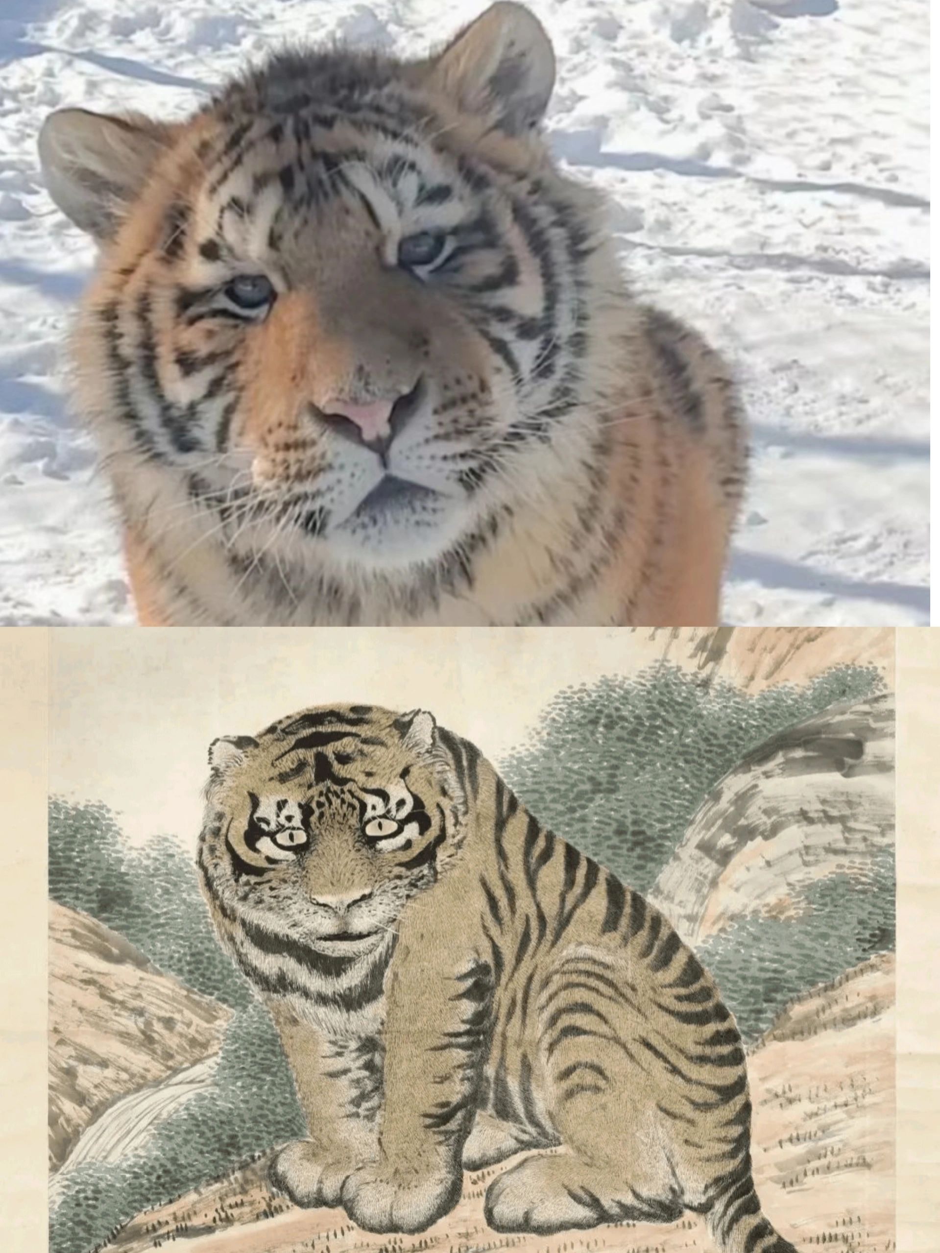 松你还会打俺吗