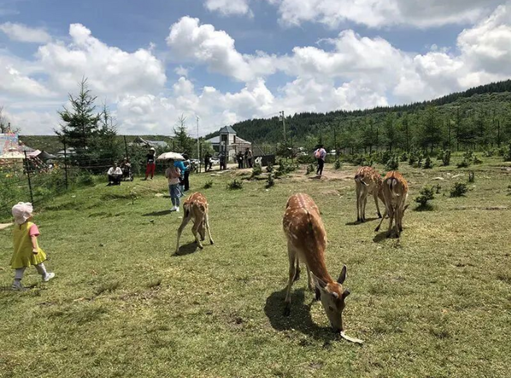 五一去哪玩儿#渭源元古堆村被誉为甘肃省最美乡村,是个风景秀丽,尾