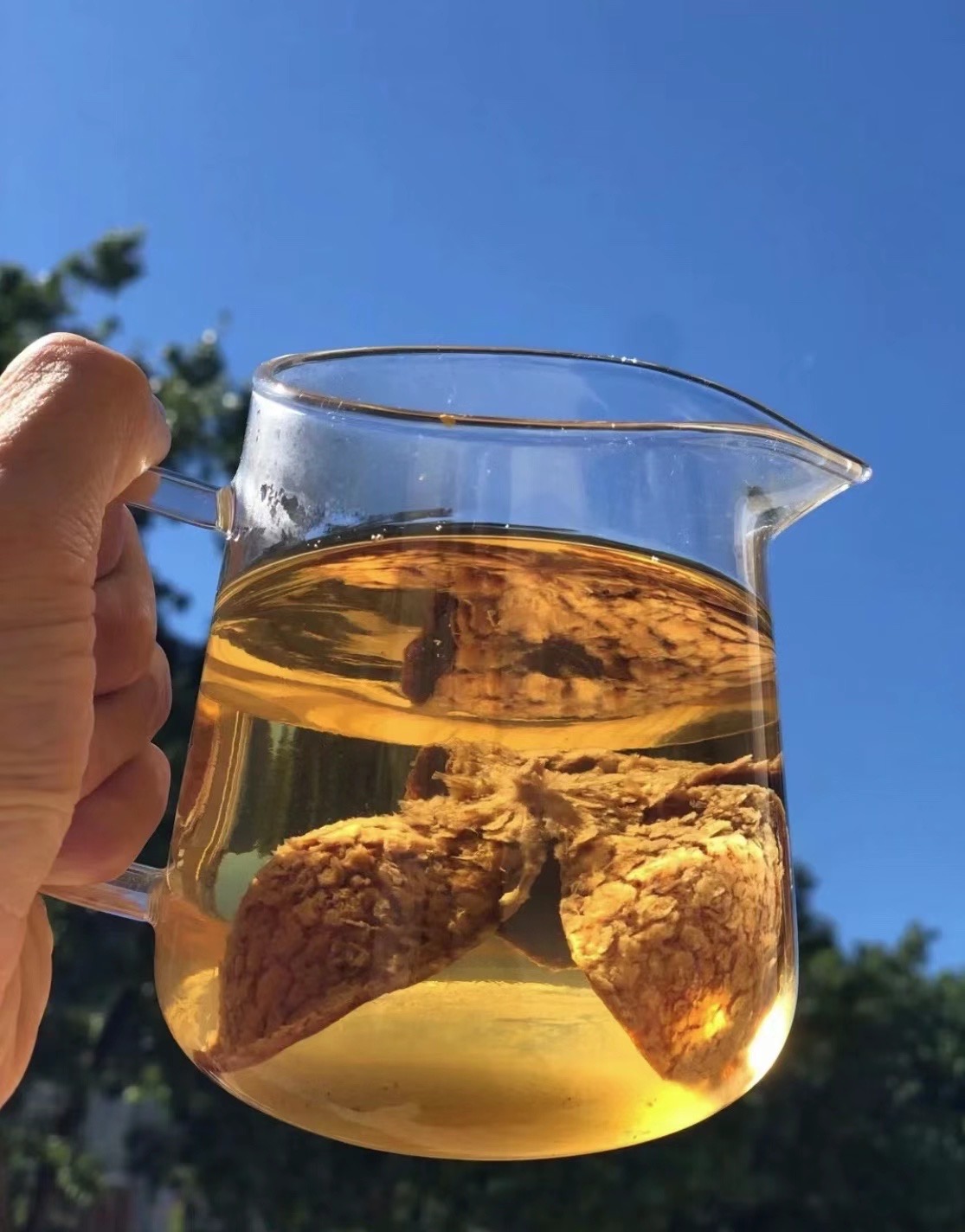 新会陈皮久煮不烂的特点确实是真实的