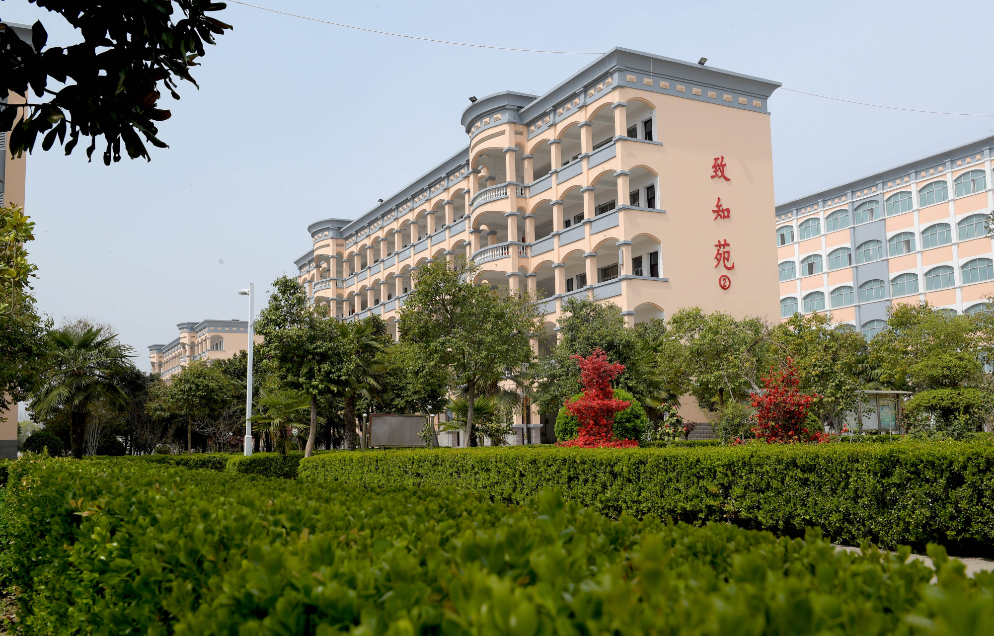 这三所中学被称为商丘中学三剑客,实力强悍,师资雄厚,可以说名副其实