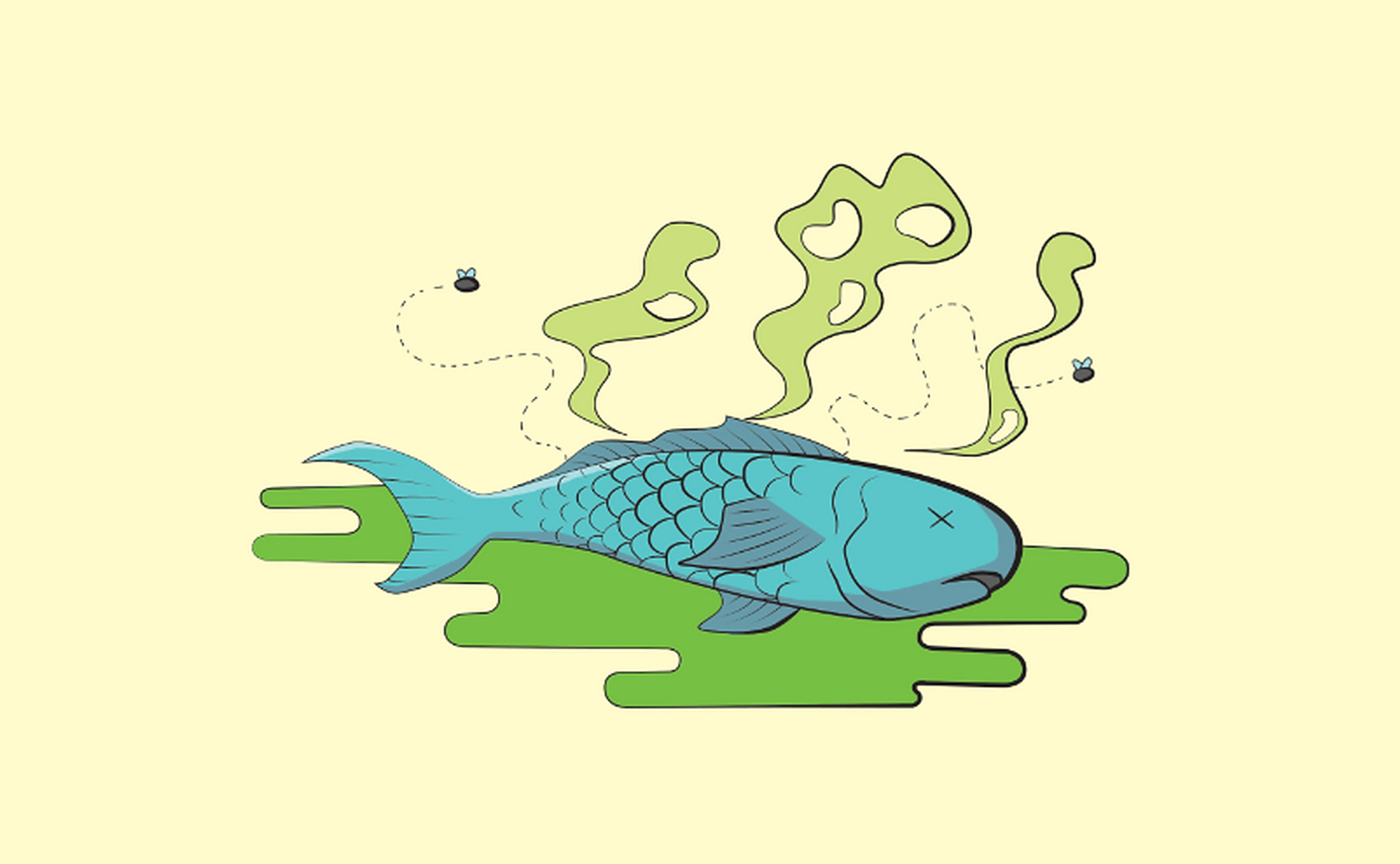 鱼腥味其实是一种极其难闻的气味,它的出现是由于食物在人体内经过