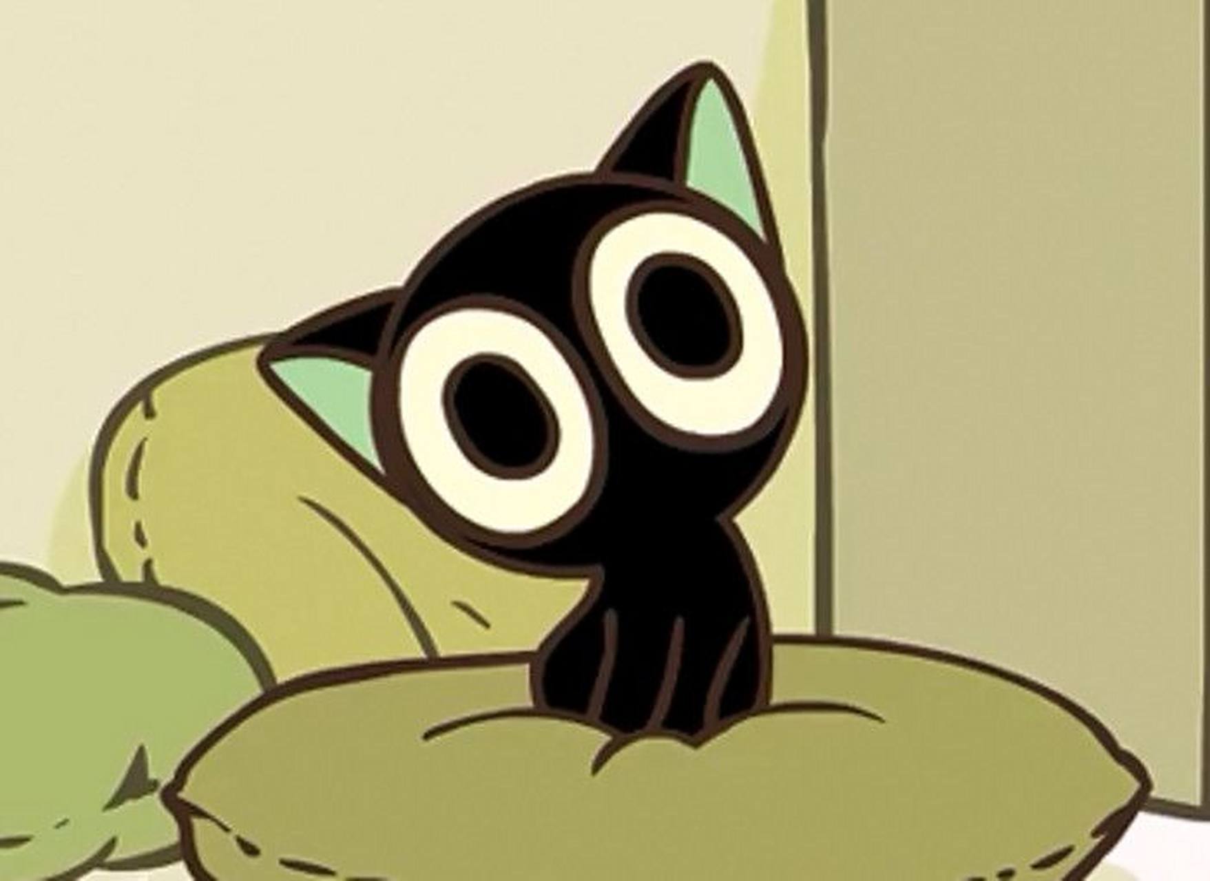 罗小白在哪里初遇小黑?