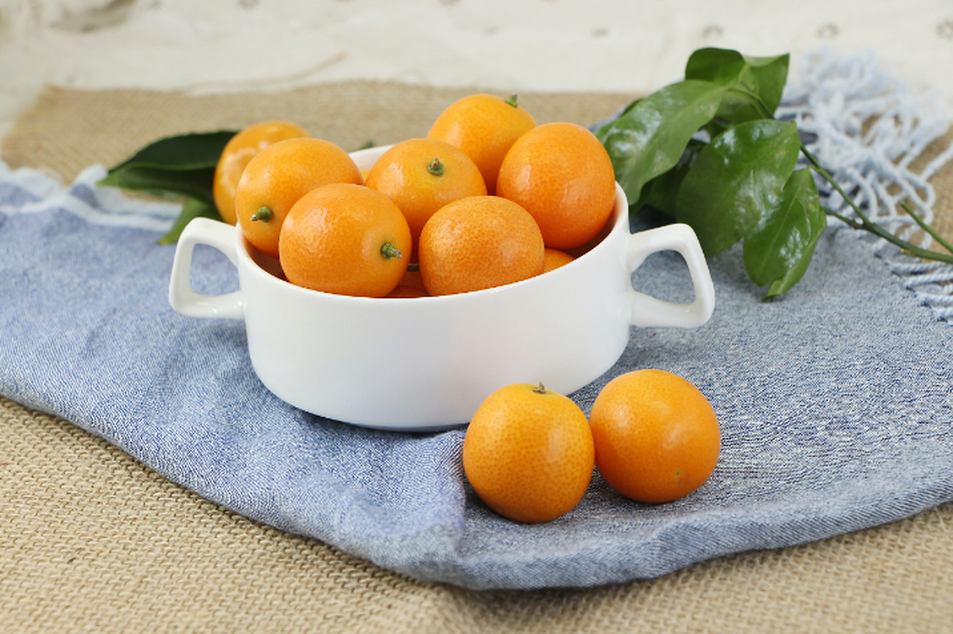 这里说的金桔是橘子家族中十分重要的成员,别看个头不大,但是金桔的