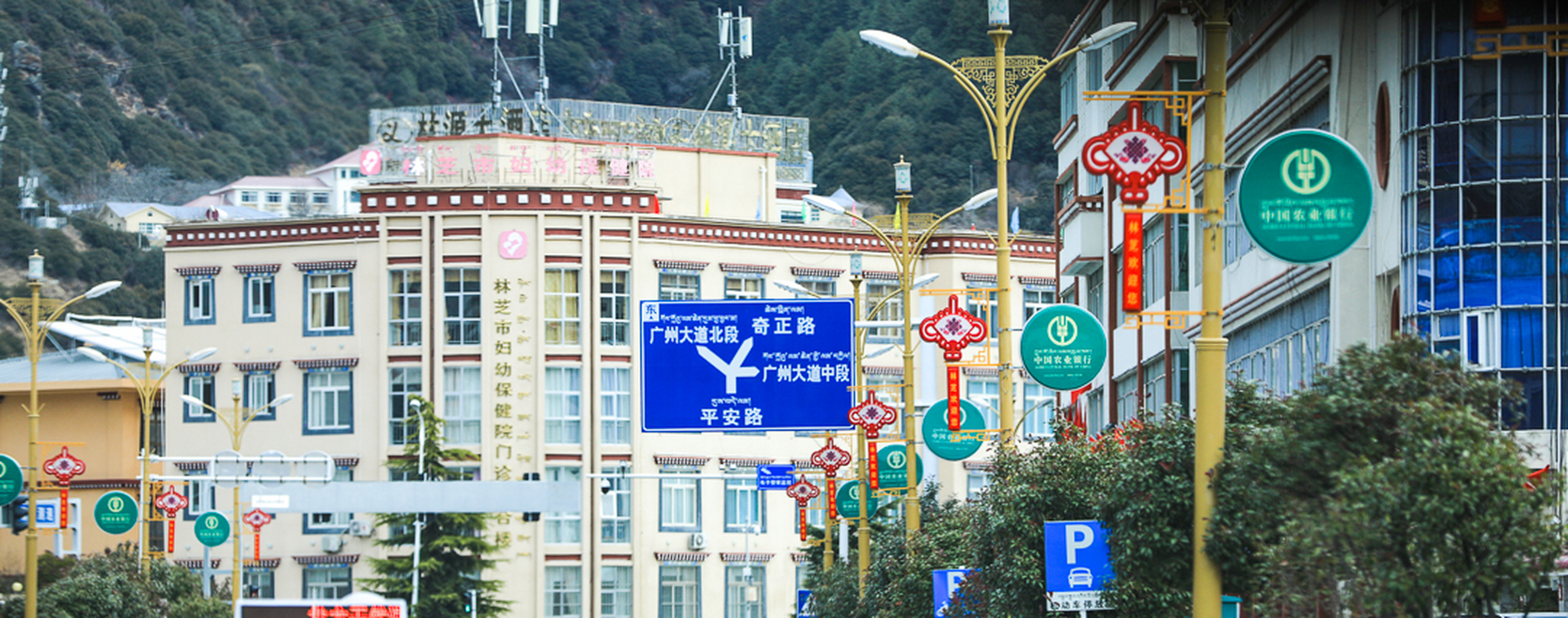 来到林芝的八一镇,这已经属于林芝现在的市区了,沿路一直往里走,这个