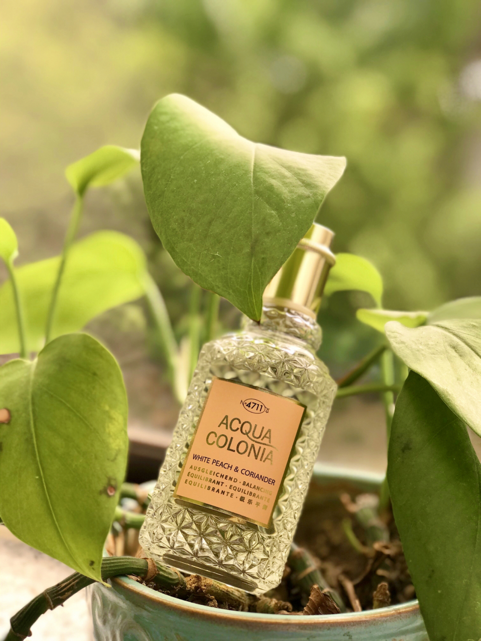 4711白桃芫荽|温柔白桃少女 最近种草的一款香水  #4711白桃芫荽古龙