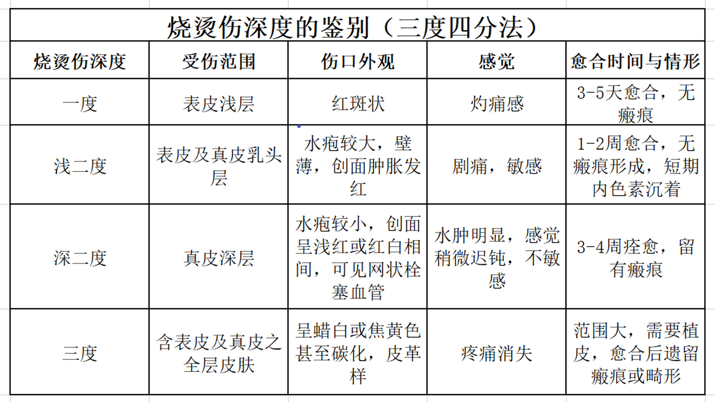 烧烫伤分级图片